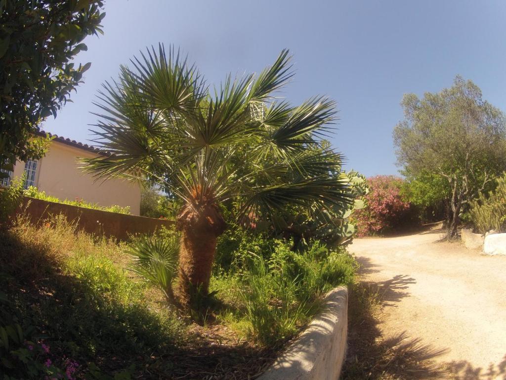 Residence La Beloutiere Porto-Vecchio  Bagian luar foto